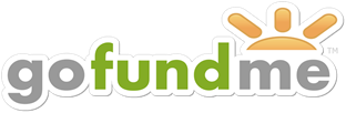 gofundme logo